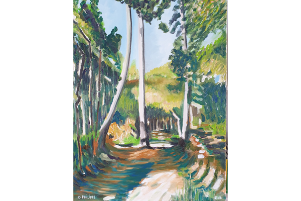 Chemin creux, 65 x 50